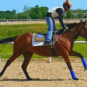 Meet your Posher, Jordan